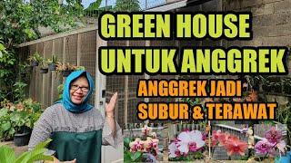 Mini Green House Cantik Untuk  Anggrek