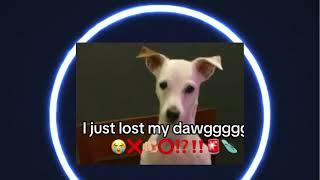 I Just Lost My Dawg (AGRESSIVE GAMING PHONK REMIX)