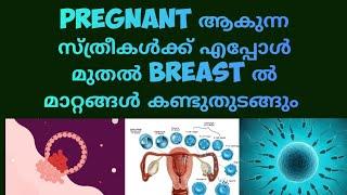 When will Early Pregnancy Breast changes Appear? Malayalam |Deechus World