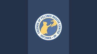 Friends of Felines Rescue Center (FFRC)