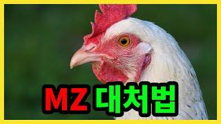 MZ 대처법