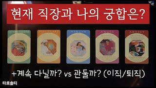 [타로카드/직장운] 현재 직장과 나와의 궁합은? 계속 다닐까? 관둘까? (+ 앞으로 직장 생활의 흐름과 조언 / 이직 or 퇴직운)