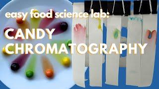 M&M Candy Chromatography [easy and fun science labs]