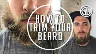 How to Grow Your Beard and Keep it Looking Fresh || Gent's Lounge