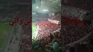 بلوزداد #fanatic  #crb  #crbelouizdad  #football  #blvzd