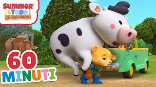 Summer & Todd | 60 Minuti | Le invenzioni di Todd, Bully il toro e le fragole fresche!