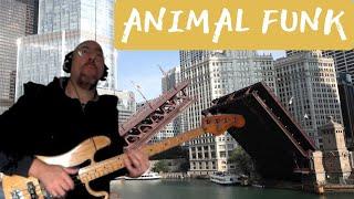 "Animal Funk" (A. Braido)   played by  Andrea Braido