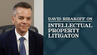 Intellectual Property Litigation | Top Los Angeles Commercial Litigation Attorney | David Ribakoff