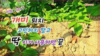 개미 퇴치 고민하지 말고 딱 이것 사용하면 걱정 끝.If you use this, you're done worrying.