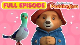 Paddington Finds a Pigeon  FULL EPISODE | Nick Jr.