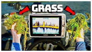 90% Of Anglers Miss THIS!! (Offshore Grass Fishing For Bass)