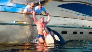 This Recent Orca Attack On A Boat Left The World STUNNED!