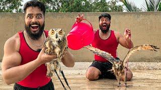  OWL KO NEHLA DYA  | SYED FAHAD |