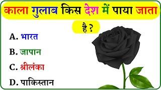 GK Question || GK In Hindi || GK Question and Answer || GK Quiz ||