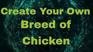 How to make your own Chicken Breed 