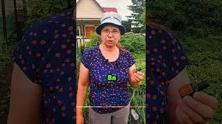 2 литра заменит тонну навоза #сад #огород #дача #рассада #урожай