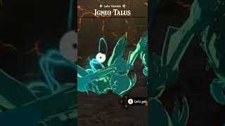 Defeating an Igneo Talus