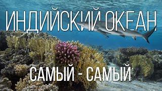 Индийский океан: Чемпион в Мире Рекордов | Интересные факты про Индийский океан