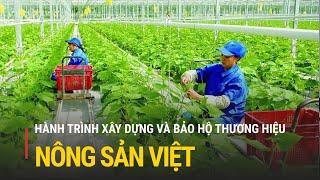 Thương hiệu nông sản Việt: Hành trình xây dựng và bảo hộ nhãn hiệu | Truyền hình Quốc hội Việt Nam