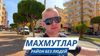 КУДА все делись в МАХМУТЛАРЕ? Мне тут не страшно! Приготовил драники! Турция 2025!