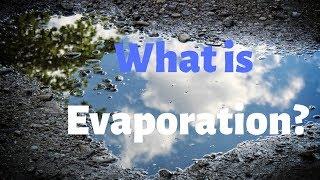 What is Evaporation, and Why do Puddles Disappear? Day-to-Day Science