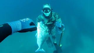 Shark Bay!! The Most Dangerous/Fishiest Place in Western Australia!