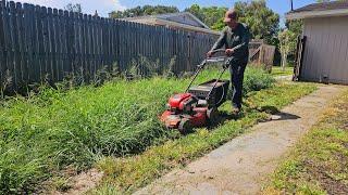 PUSH MOWING an Overgrown Lawn and BAGGING All the Clippings