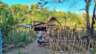 Morning routine in the countryside - tending the vegetable garden and cooking healthy meal