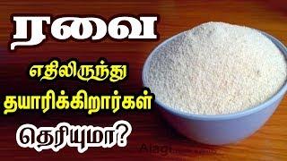 ரவை எதிலிருந்து தயாரிக்கிறார்கள் தெரியுமா? | How is Rava Made | Is Rava Good for Health