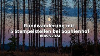 Rundwanderung mit 5 Stempelstellen bei Sophienhof im Harz