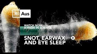 What is snot, earwax and eye sleep? - A Week in Science