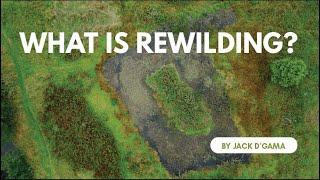 What is Rewilding?