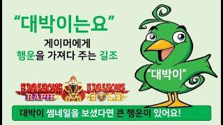 [강원랜드 패밀리가 떴다!] [오룡골드] [3천에서 5만까지] Big Win Story Collection(1)
