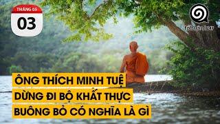 Ông Thích Minh Tuệ dừng đi bộ khất thực. Buông bỏ có nghĩa là gì | TỔ BUÔN 247 (03/06/2024)