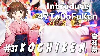 【47 ToDoFuKen Series】#38 KOCHI KEN (高知県)【MOEKA】