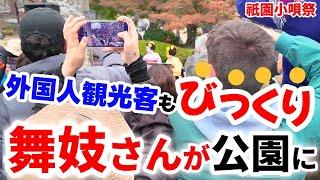 特別編【祇園小唄祭】舞妓さんが公園に現れ外国人観光客びっくり 「歌碑前で祇園甲部の舞妓さんが歌詞を朗読、花をお供え」【4k】