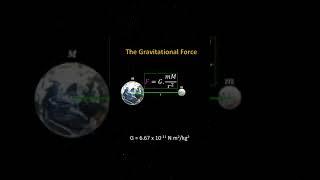 Understanding Gravitational Force | HitaSUMIT #gravitationalforce #gravity