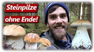 STEINPILZ WAHNSINN September | Pilze sammeln mit Glücksgefühlen ohne Ende