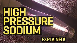 Grow Lights Explained: High Pressure Sodium (HPS)