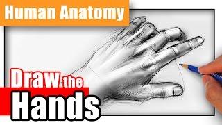 How to Draw Hands from Any Angle