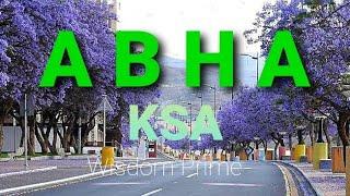 ABHA | Saudi Arabia's most stunning place to visit | most dangerous roads in abha saudi arabia