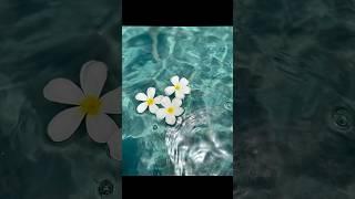 подпишись на тг Гриникс фанс #роблокс #roblox #beautiful #красота #природа #реки #рекомендации