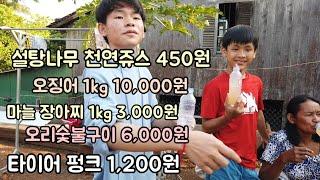 2주만에 만나는 아들... "설탕나무의 천연쥬스" [캄보디아 생활물가]