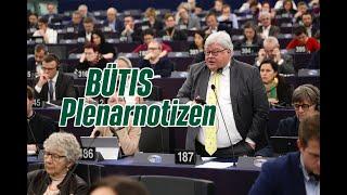 Europaparlament vs. Kommission | Plenarnotizen März 2024