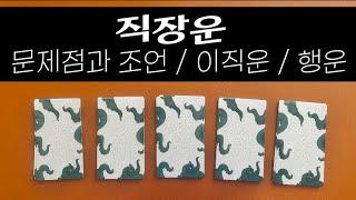 #직장운 타로 / 이직운 /  취업운 / 합격운 / 회사운