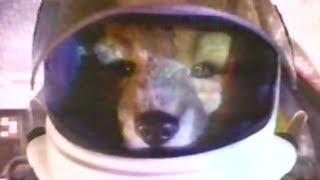 Star Fox SNES Commercial - Retro Game Trailers