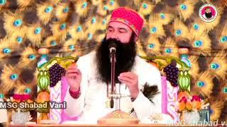 Sirsa | 16 Aug 2024 | Naamcharcha | Saint msg old satsang | saint msg anmol vachan