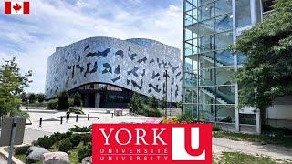 York University Campus: Full Tour 2024