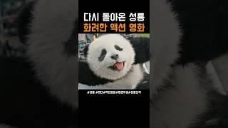 성룡의 부활 그가 다시 돌아왔다! 2025년 신작 영화 #판다플랜 #성룡