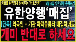 [유한양행 주가 전망] "긴급" NCCN 우선권고 시나리오 오픈! 개인들 투매받아서 기관 외국이 쓸어담고 있네요. 지금 구간 절대로 흔들리시면 안됩니다.#유한양행 #유한양행주가전망